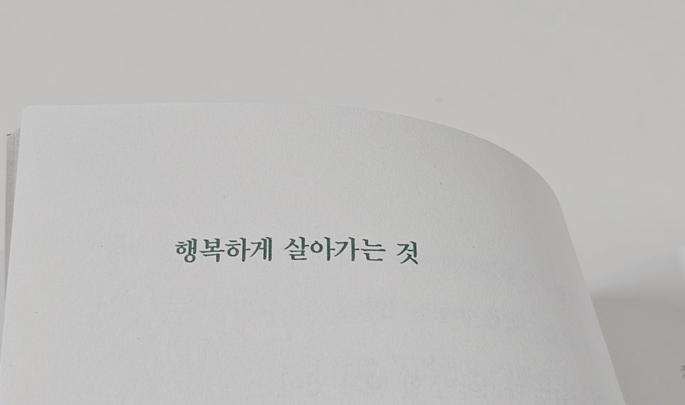 이래도 사진 2
