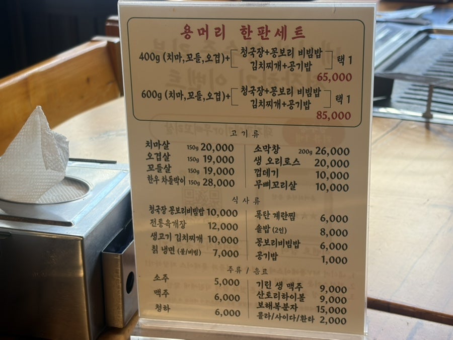 오리 사진 3