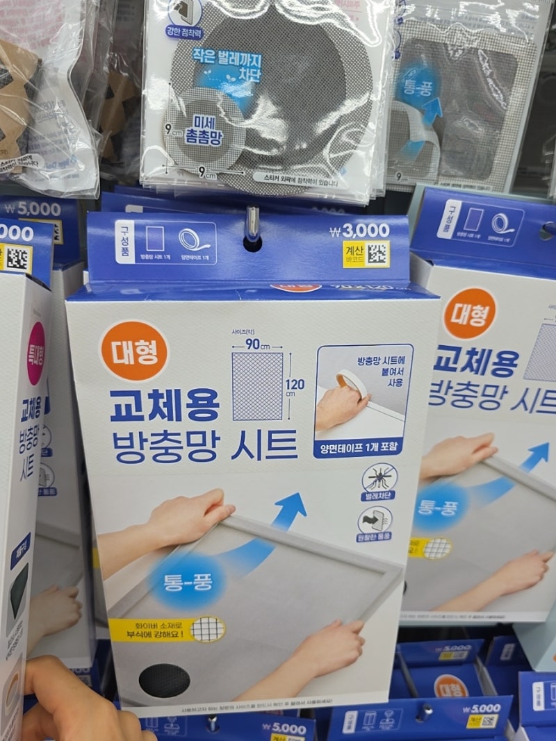 장마철 끝나면 여기부터 챙기세요! 지금 다이소에서 불티나게 팔리는 '이것'