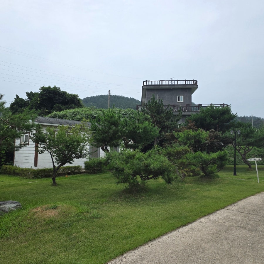 네모 사진 5