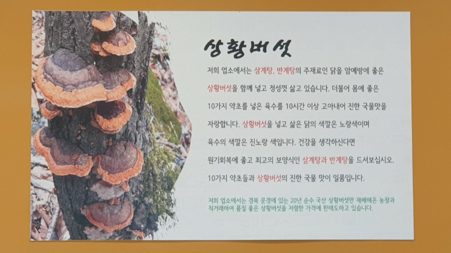 상황진삼계탕 사진 5