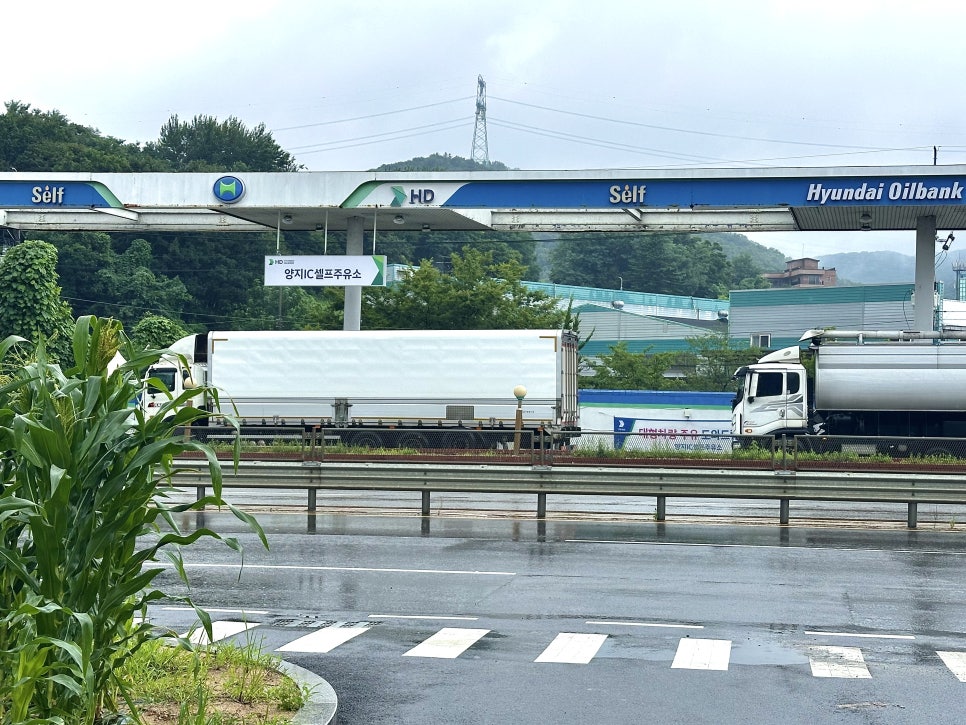 두물머리양평해장국 용인직영점 사진 4