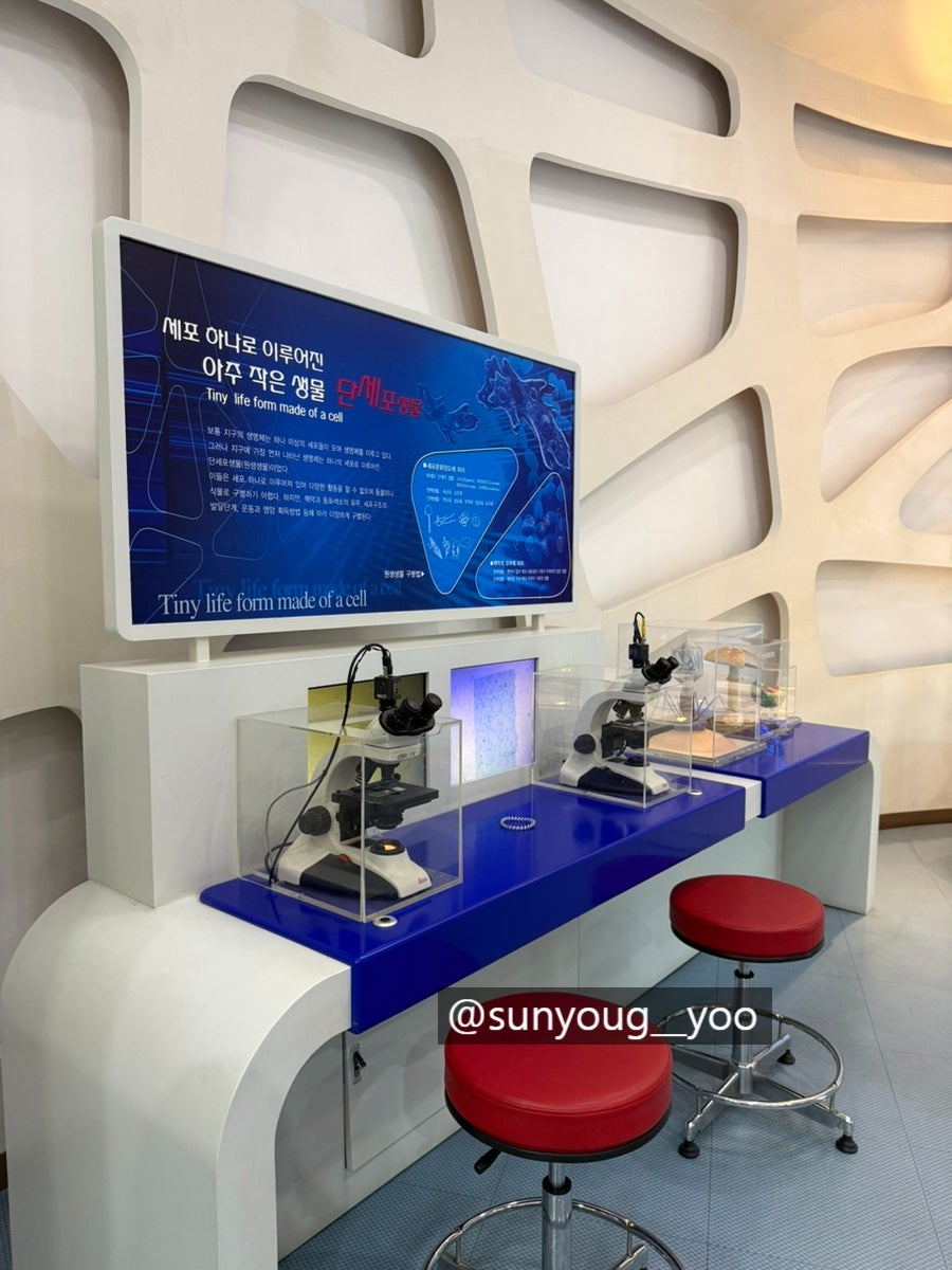 홍천생명건강과학관 사진 4
