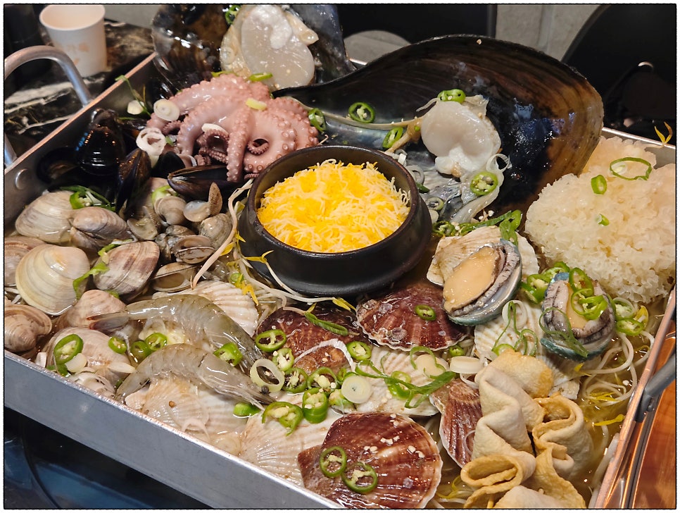 오아시스조개 사진 6