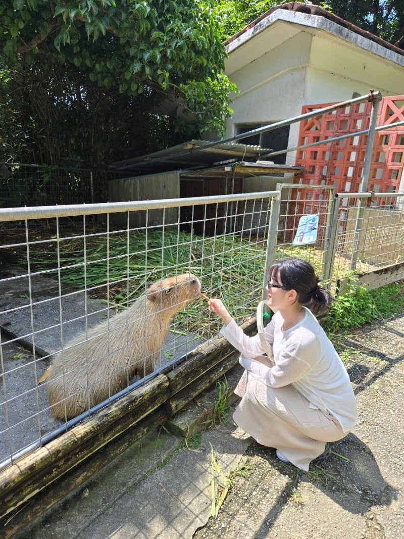 22_ 태교여행 오키나와