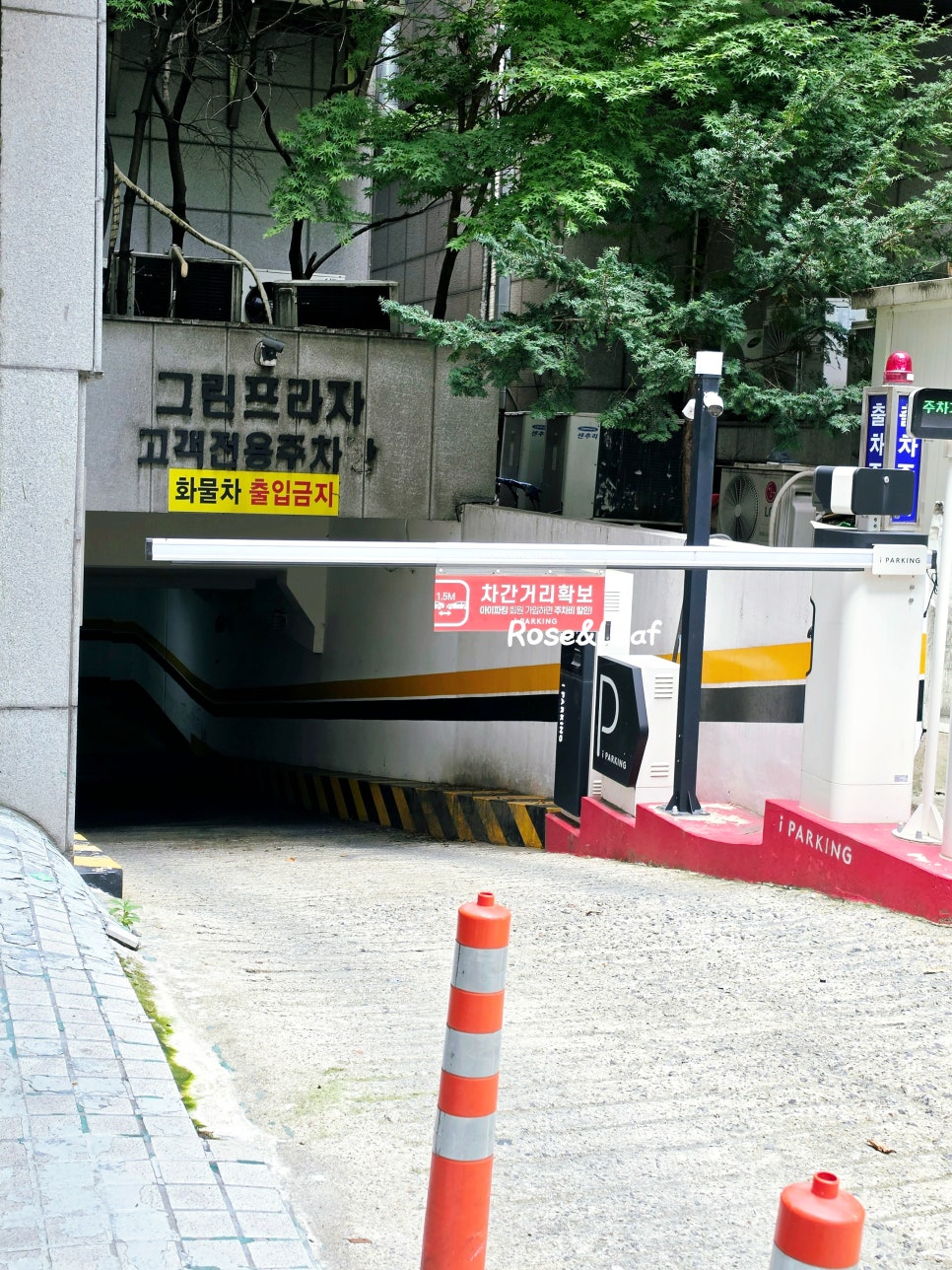 든든 사진 4