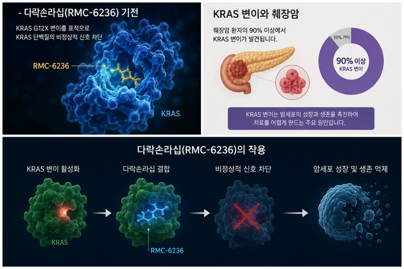 췌장암 표적항암치료제 다락손라십 국내 도입 승인되려면