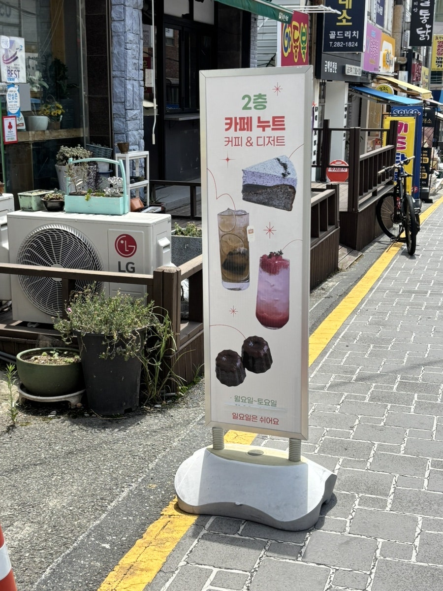 누트 사진 5