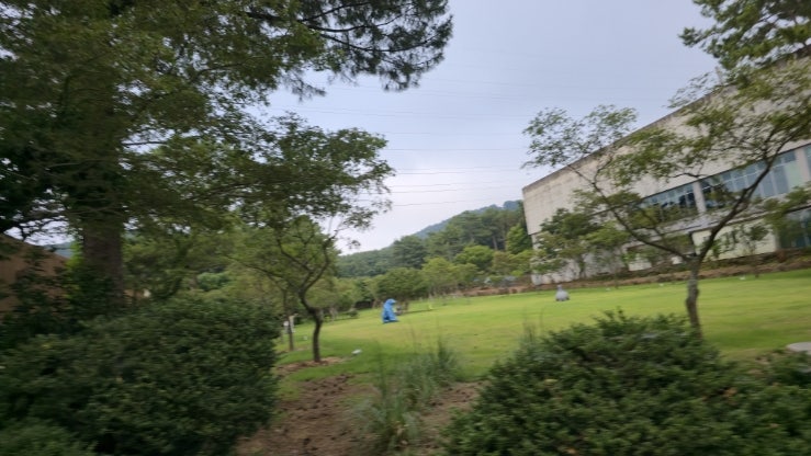 서촌제 사진 2