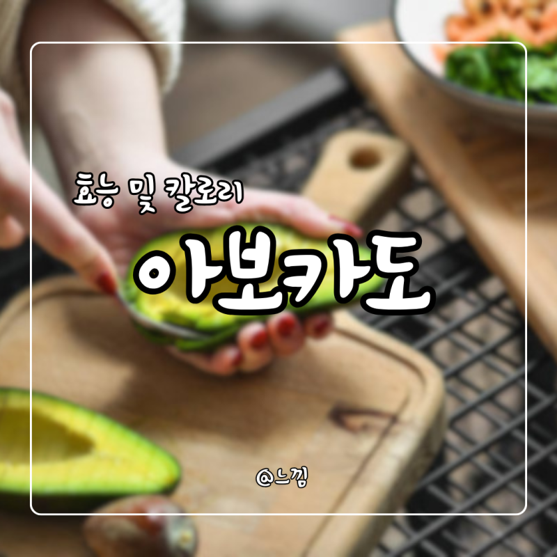 아보카도 효능 및 칼로리 부작용