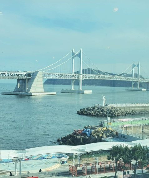 대영횟집 사진 3