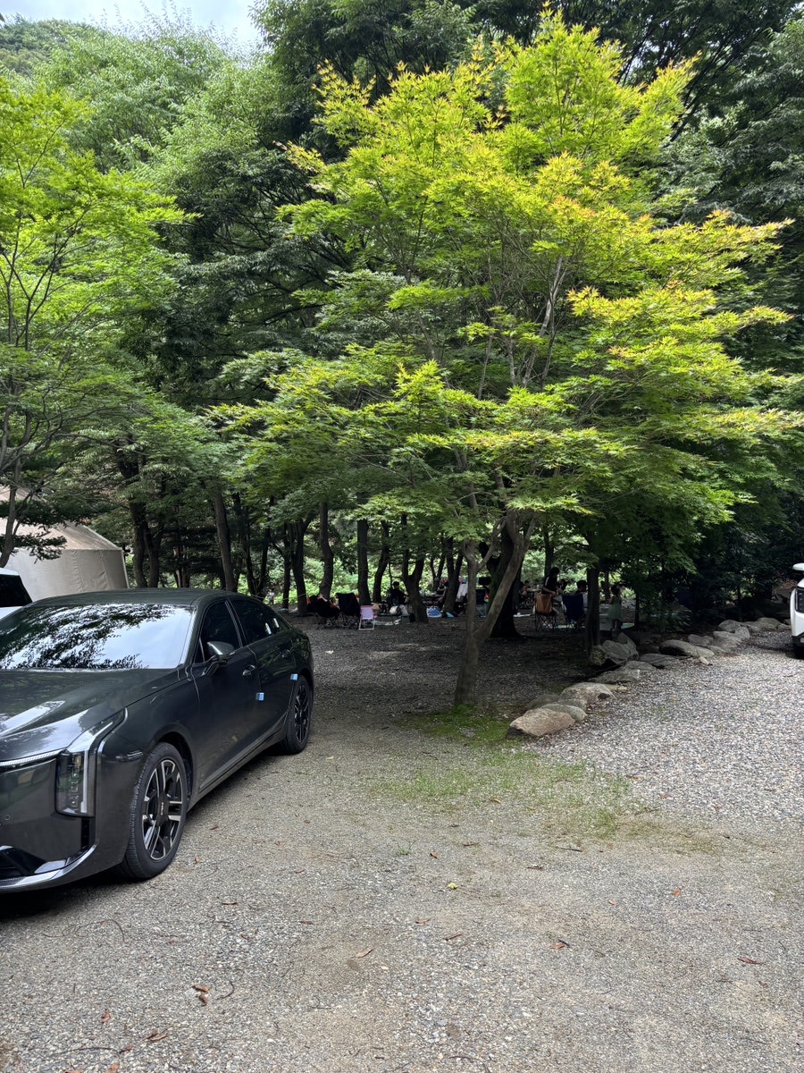 온오프 사진 3