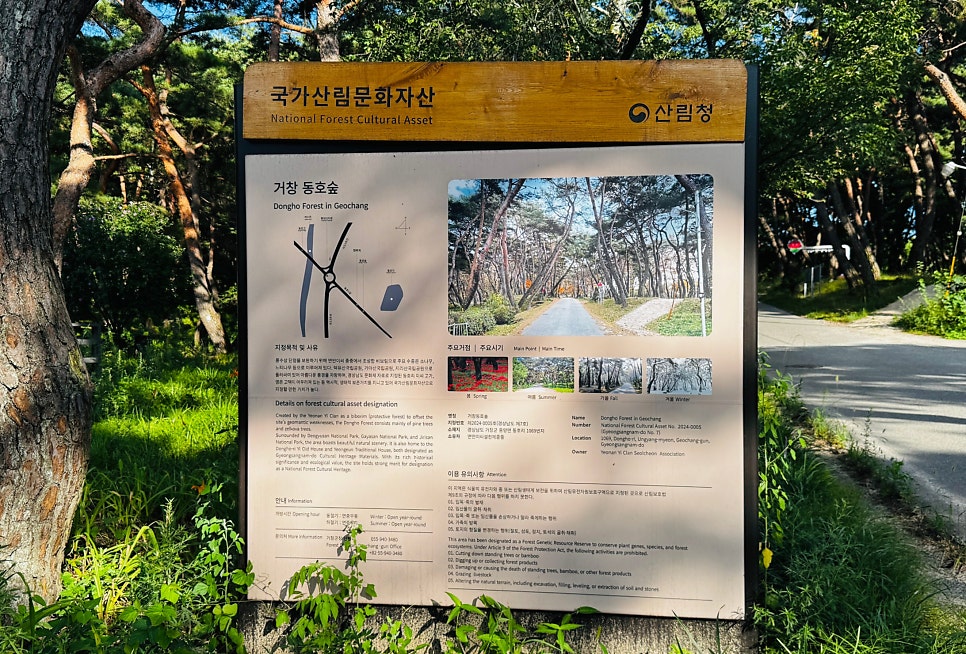 동호숲 사진 5