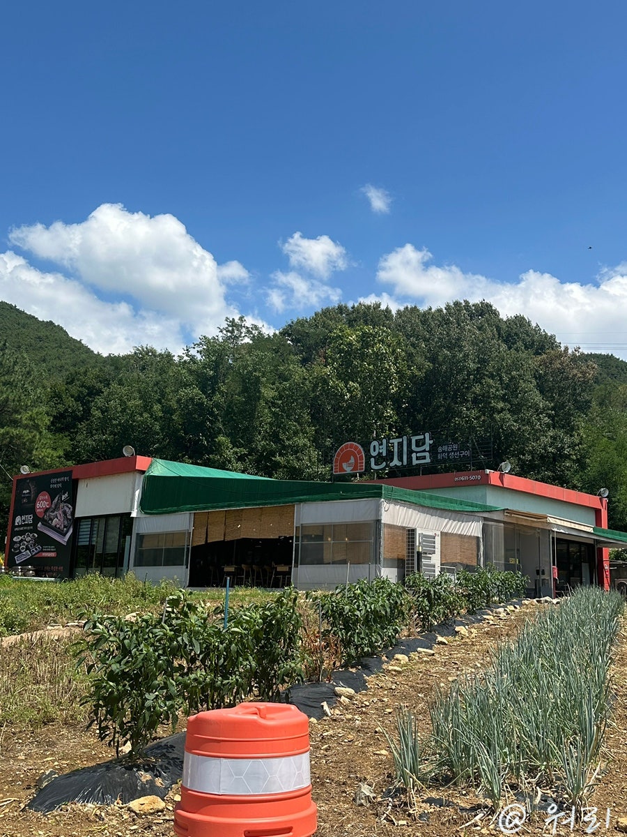 송해공원 연지담 사진 4