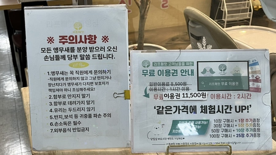 앵무새카페 리프패럿 계양점 사진 4