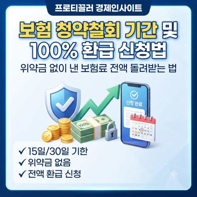 보험 청약철회 기간 및 100% 환급 신청 방법 총정리