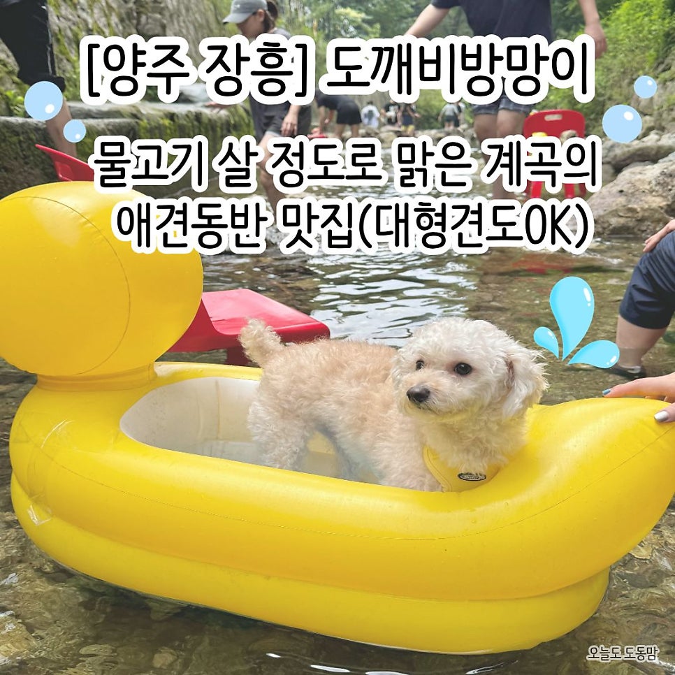 도깨비방망이 사진 1