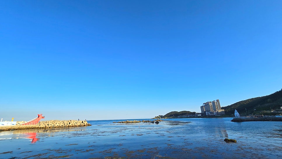 대명횟집 사진 3