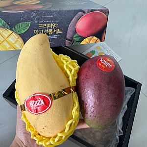 카카오톡 선물하기 추천  원월드 프리미엄 애플망고 & 골드망고 선물세트 후기