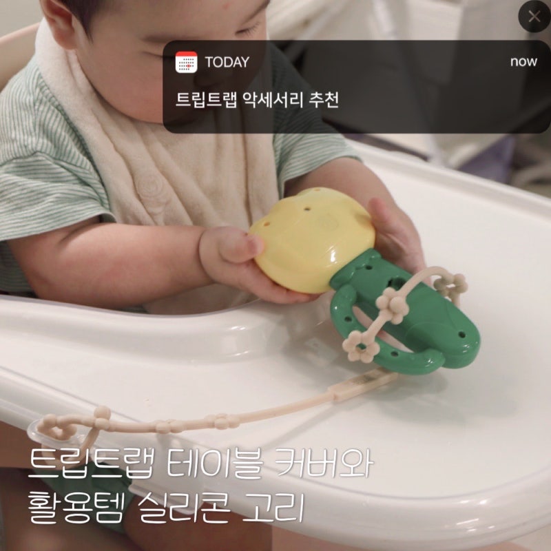 트립트랩 악세서리 강추! 루엘 트레이 호환 커버 ,실리콘 스트랩
