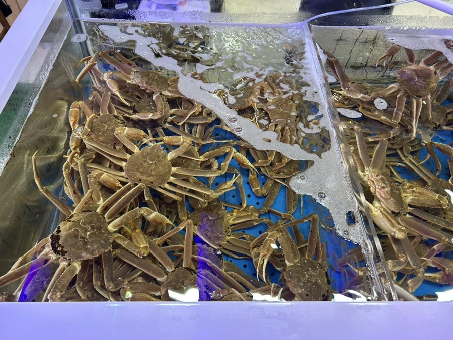 속초대게정 사진 4
