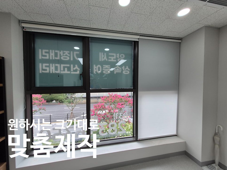 초원 사진 2