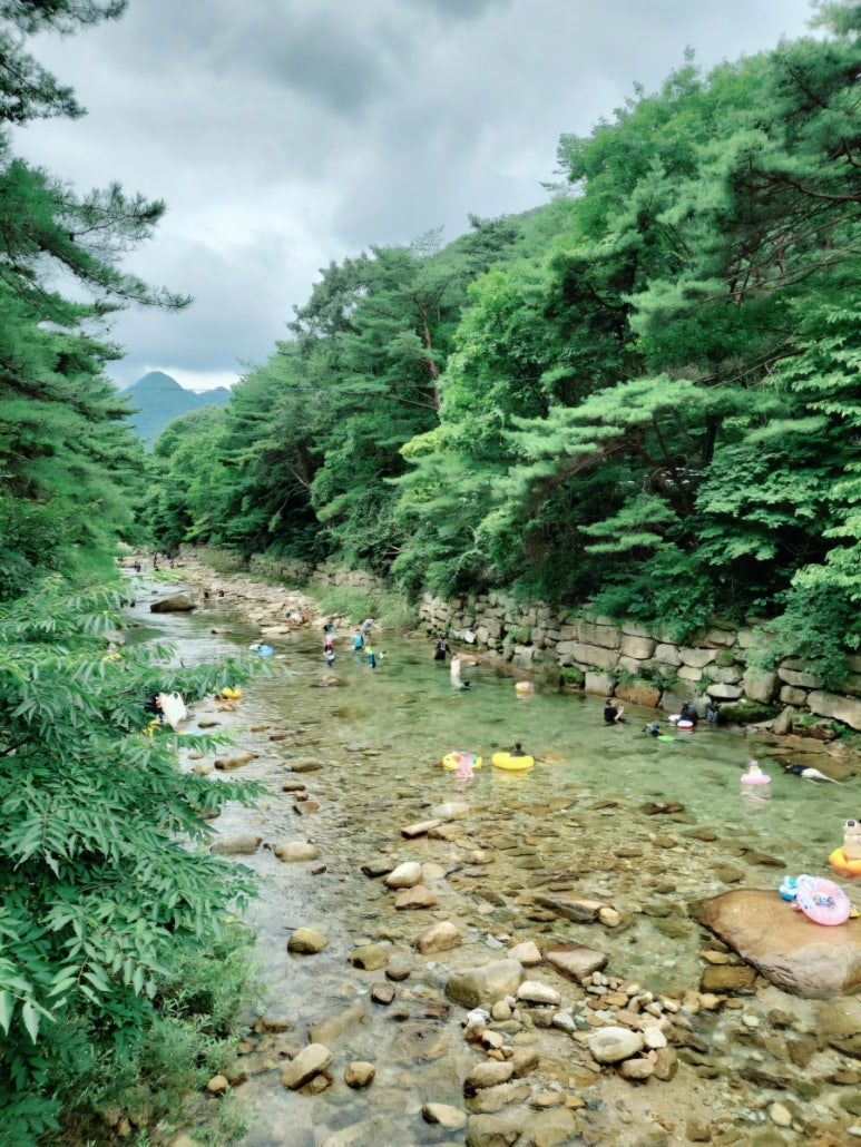 월악산국립공원 덕주야영장 피크닉전용영지