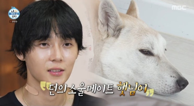<b>나 혼자 산다</b> 657회 던과 반려견 햇님이, 보호소에서 시작된 인연