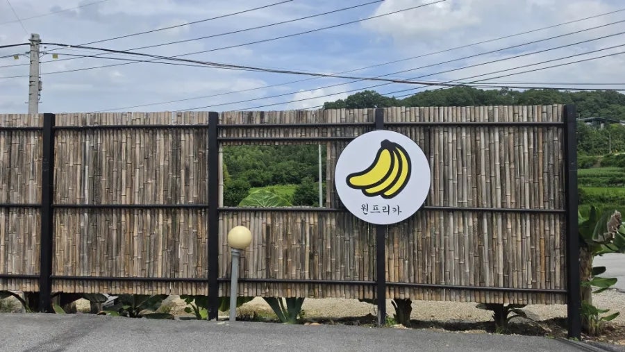 원프리카 사진 4