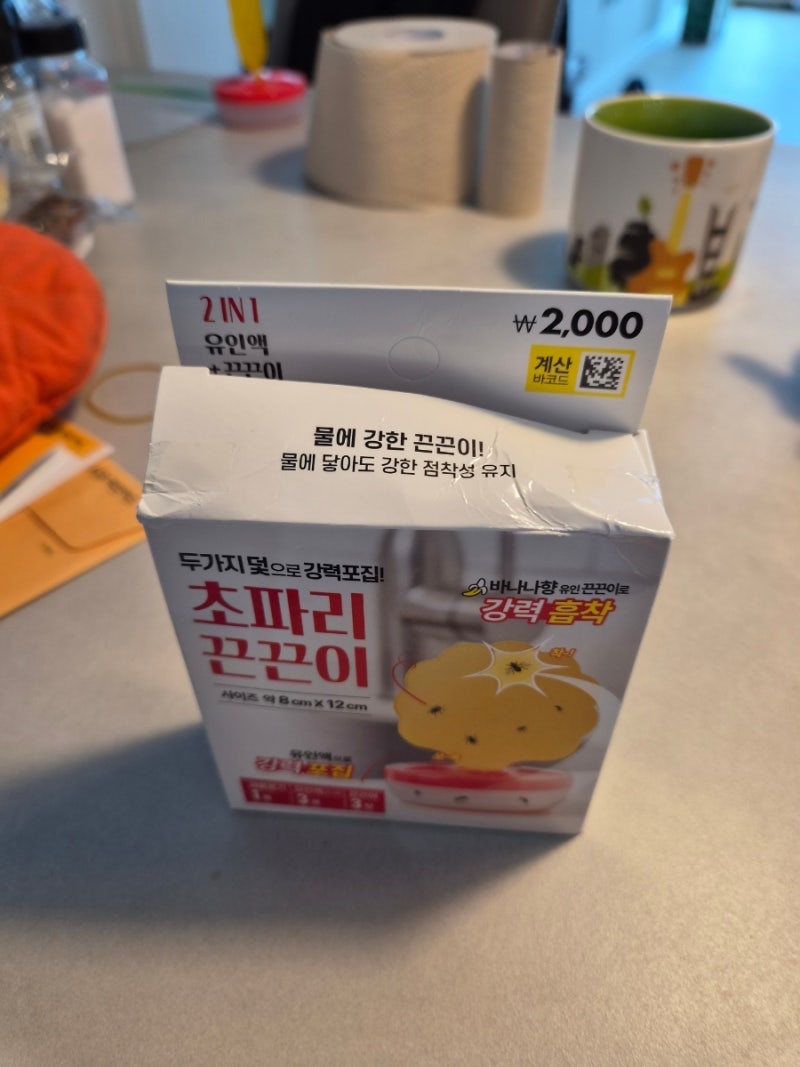 다이소 초파리 끈끈이