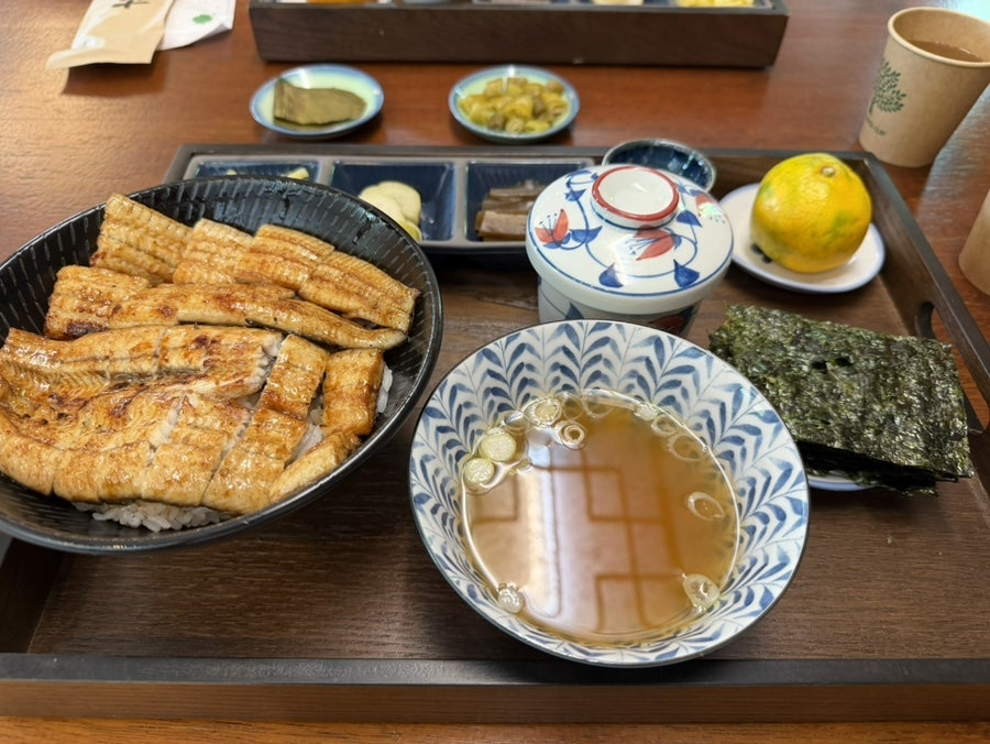 고목 사진 6