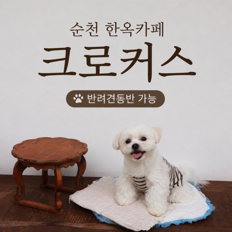 순천 반려견동반 카페 크로커스,한옥 감성 가득한 애견동반 카페