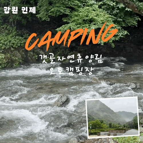인제갯골자연휴양림 캠핑장 재방문 후기! 비 온 뒤 계곡 물량 폭발&숲나들e 예약 팁