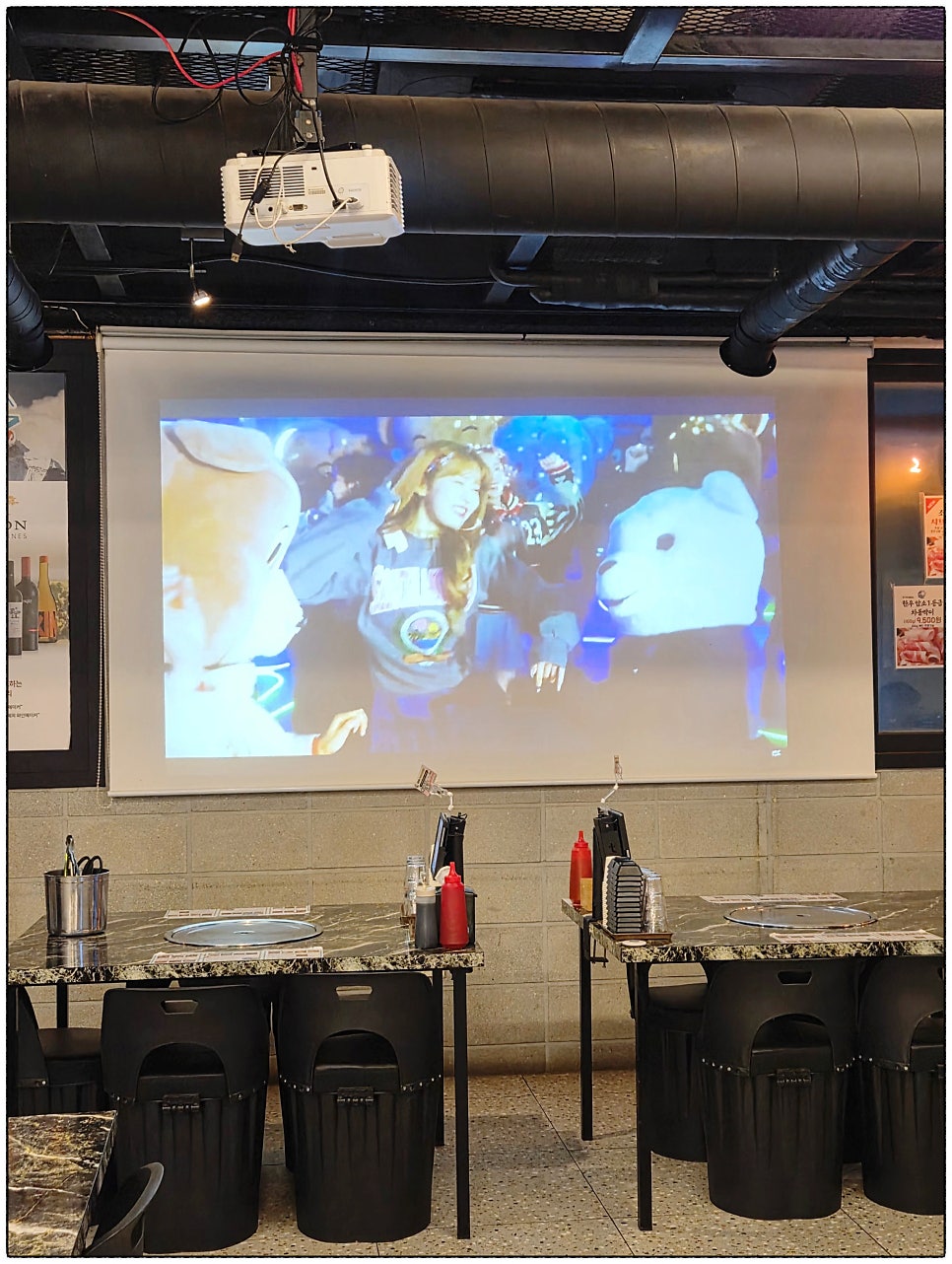 오아시스조개 사진 2