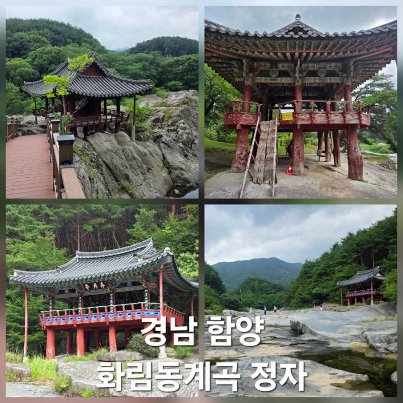 [경남 함양 화림동계곡 농월정, 동호정, 거연정, 군자정] 함양4경 화림풍류