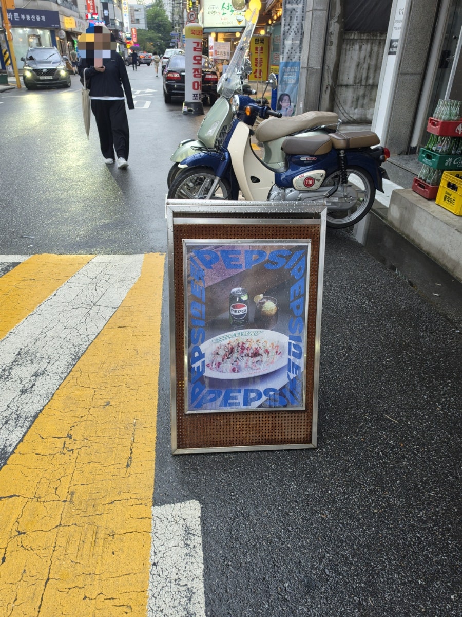 치커리 사진 2