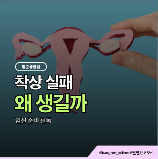 수정 후 착상이 안 되는 가장 흔한 원인 알아보기