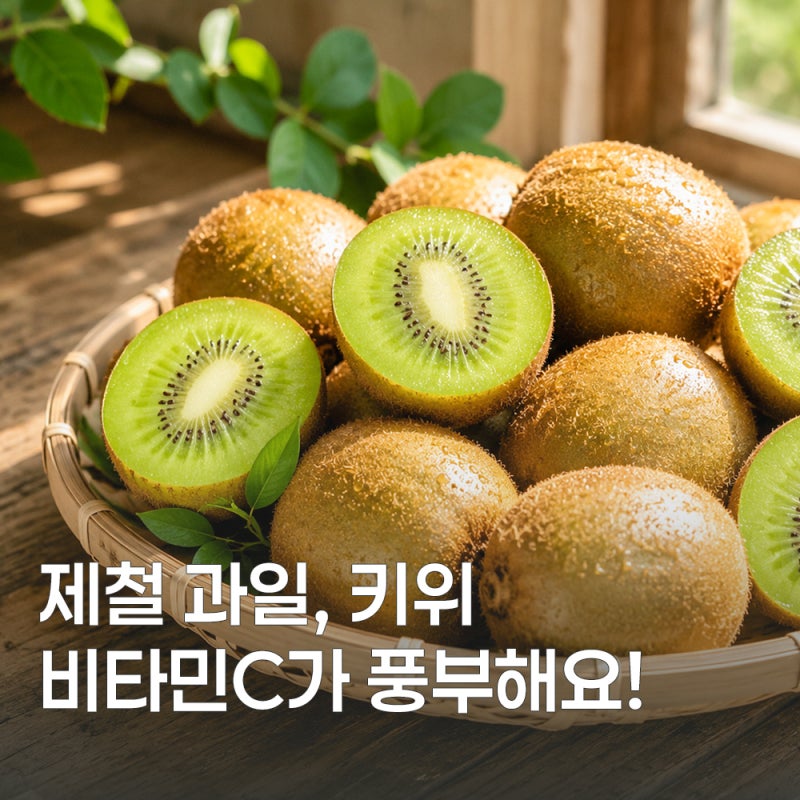 키위 효능과 칼로리 손질법 보관방법 총정리