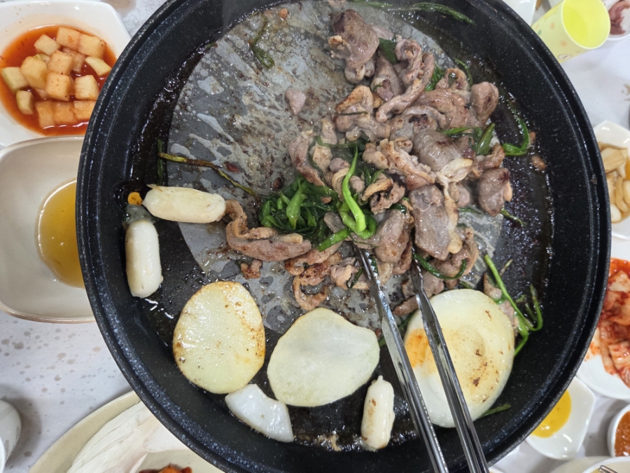 장수오리 사진 3