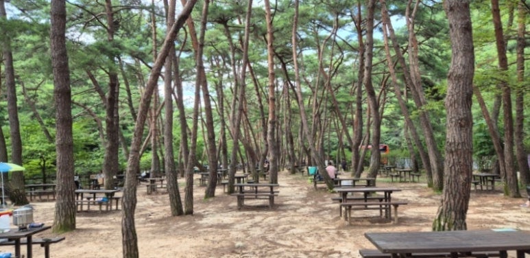 월악산국립공원 덕주야영장 사진 5