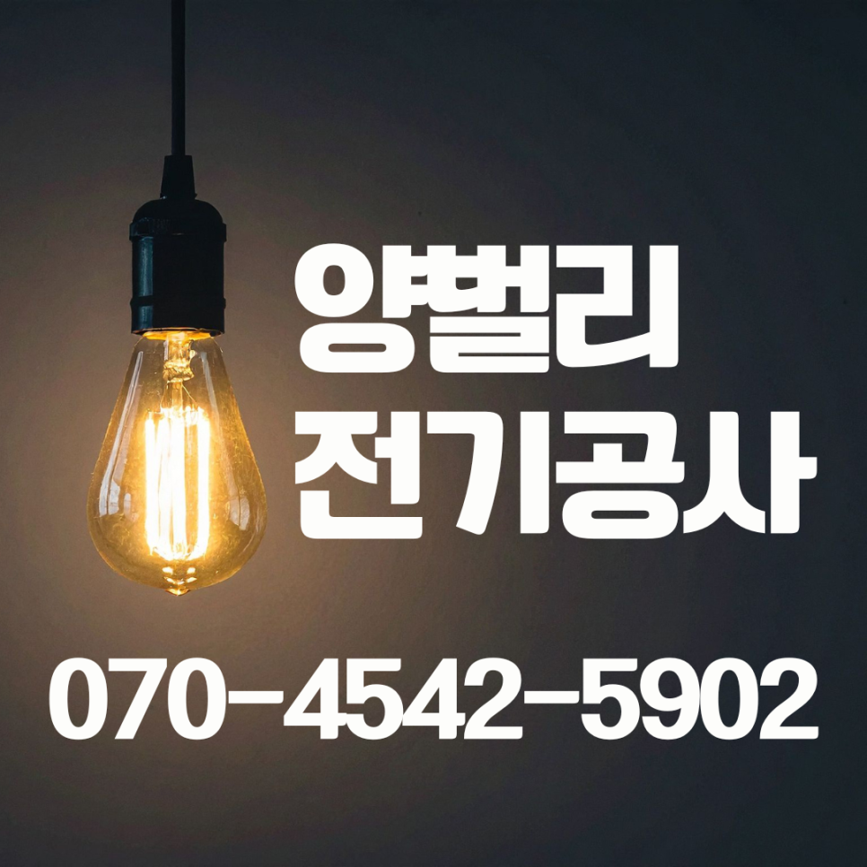 두꺼비 사진 5
