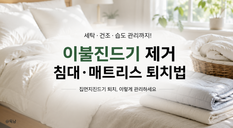 이불진드기 제거 어떻게 할까? 침대 매트리스 집먼지진드기 퇴치법
