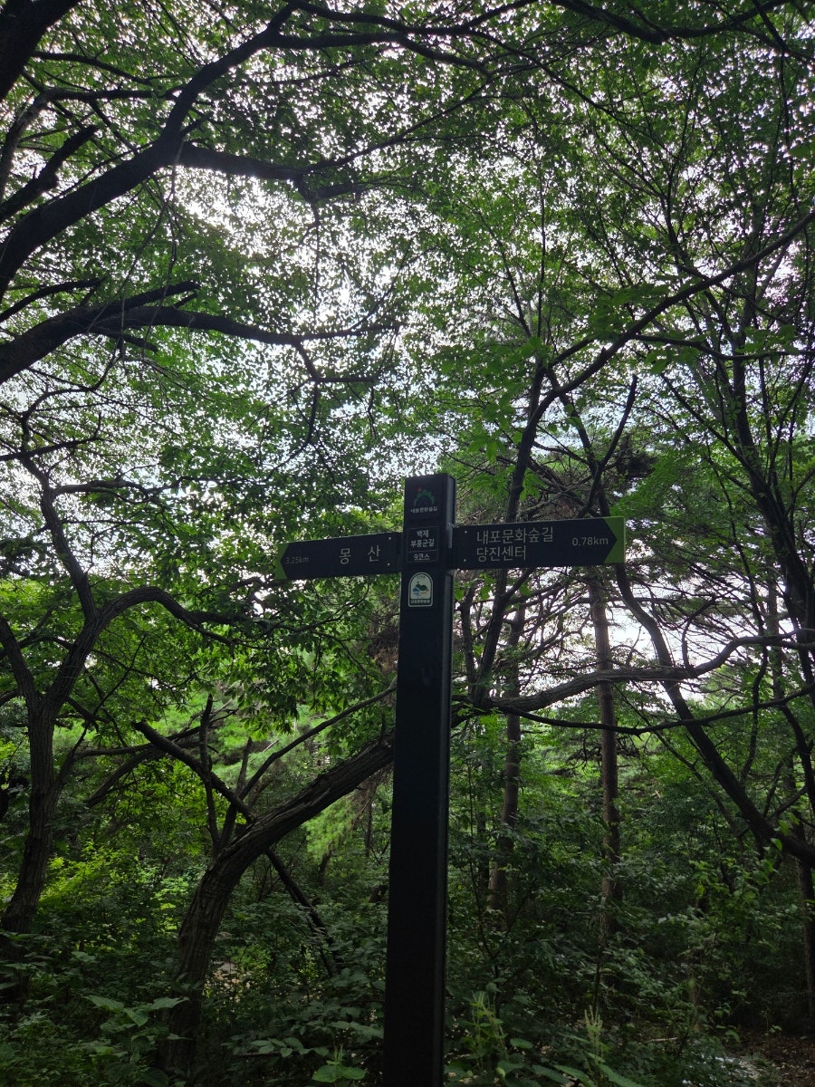 몽산 사진 2