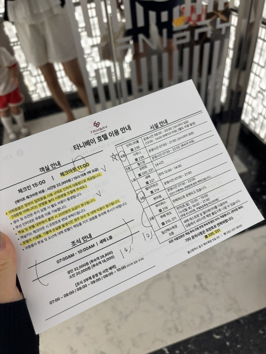 금상첨화 사진 6