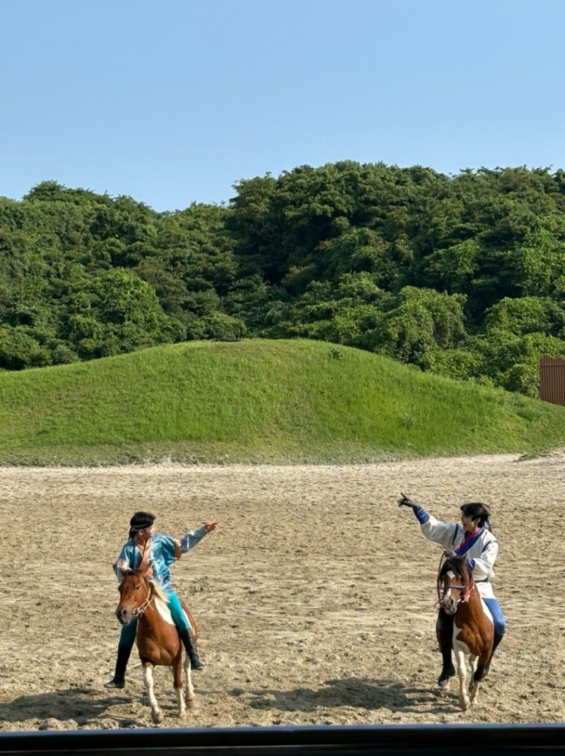 濟州The Ma Park騎馬表演真心評論！表演時間、最佳座位、餵馬小撇步