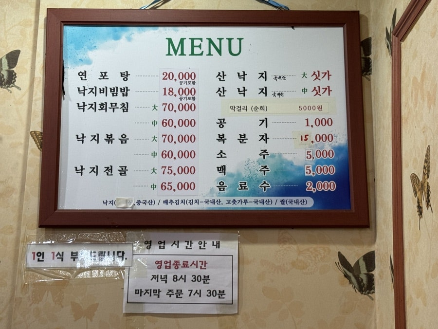 해송 사진 3