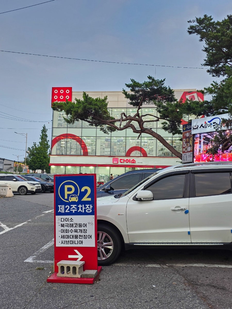풍천장어 사진 5