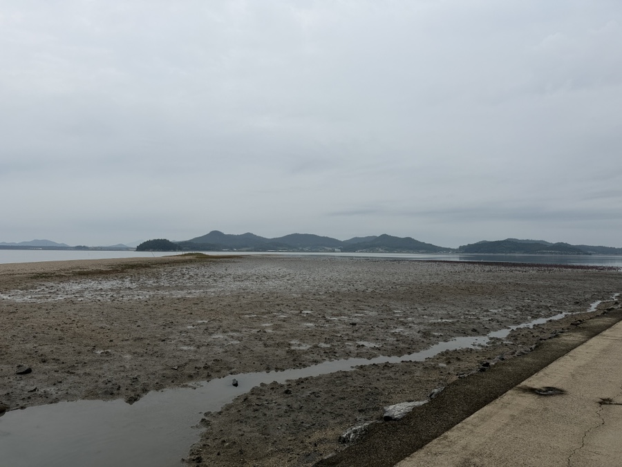 화도 사진 6