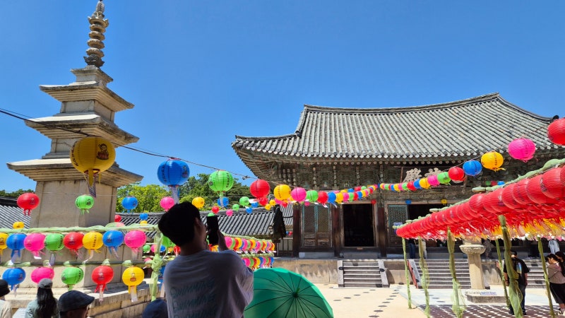 경주 불국사 입장료 무료, 주차·관람 동선 한 번에 정리해봤어요
