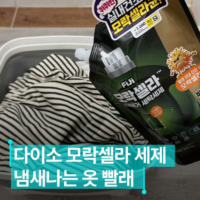 여름 빨래 냄새 때문에 고민이라면? 다이소 피지 모락셀라 세제로 해결!